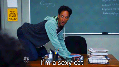 abed-sexy-cat