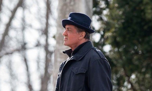 Sylvester-Stallone-Creed-e1424329033995