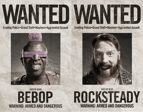 teenage-turtles-wanted