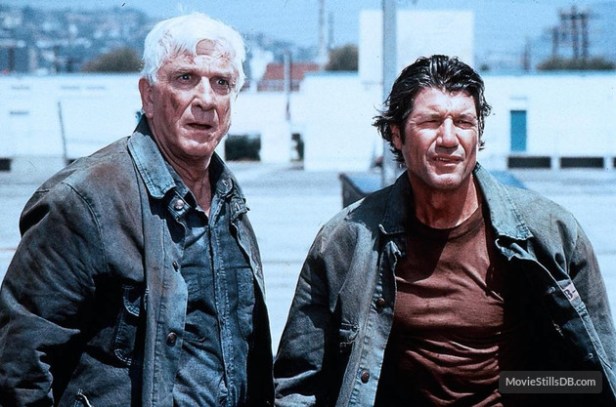 naked-gun-33-13-the-final-insult