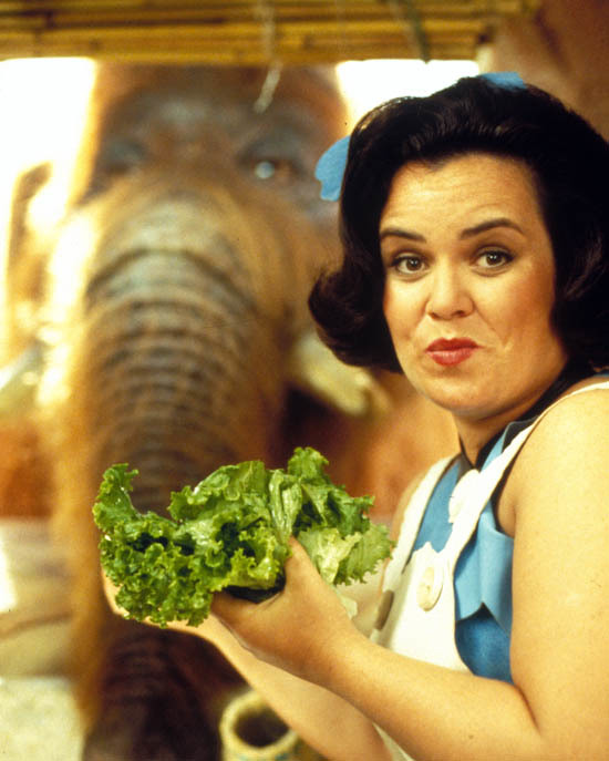rosie-odonnell-in-the-flintstones-1994-premium-photograph-and-poster-1004912__66777-1432429896-1280-1280