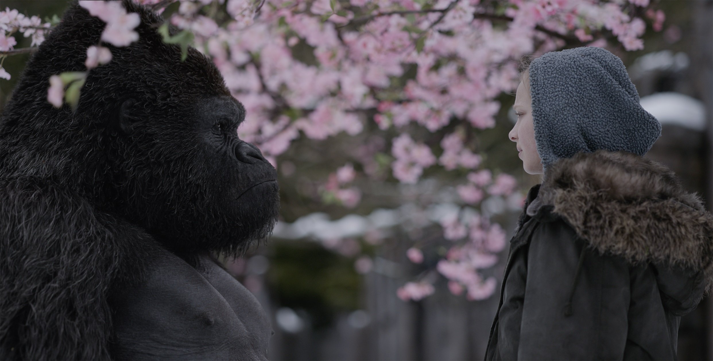 amiah-miller-in-WAR-FOR-THE-PLANET-OF-THE-APES