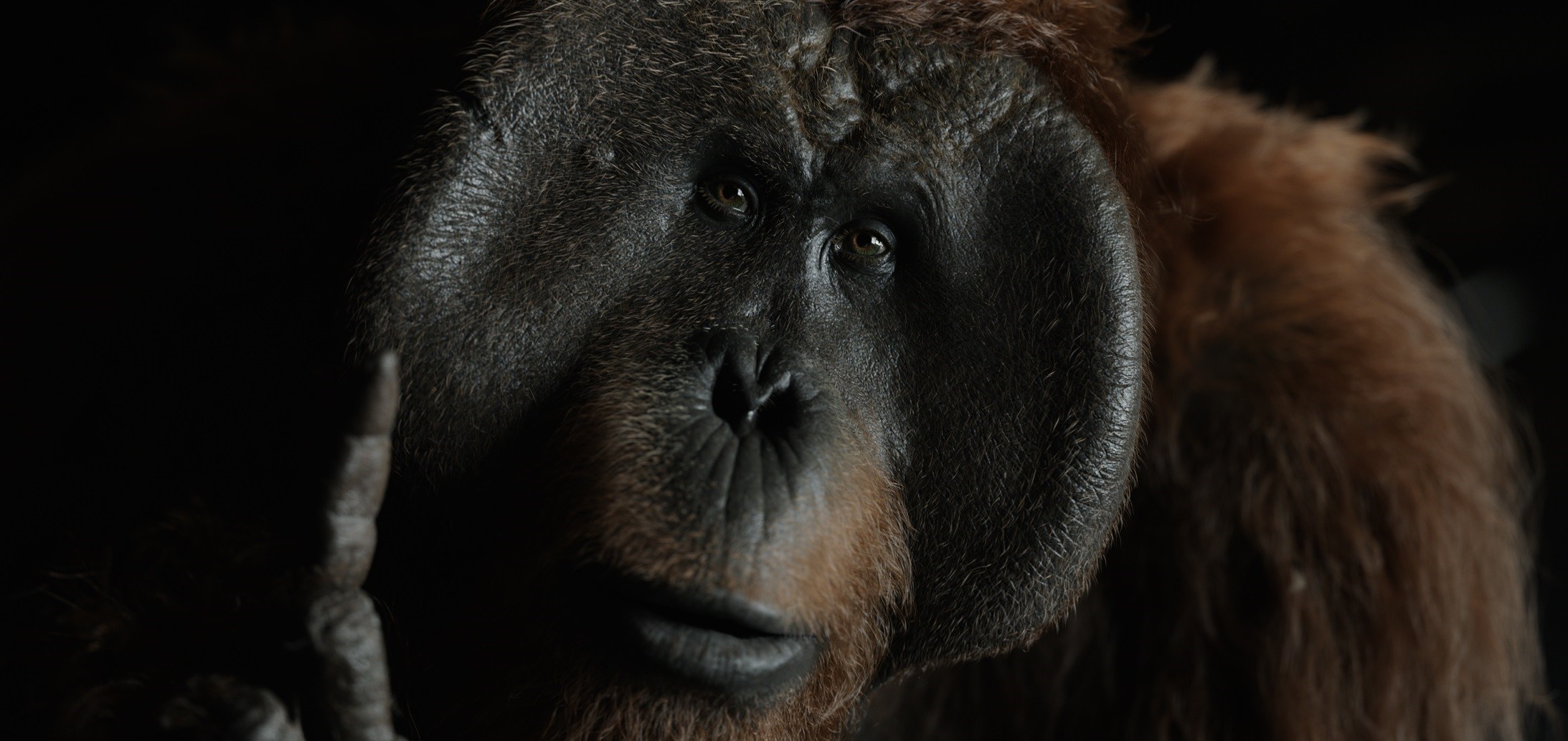 Karin Konoval in Twentieth Century Fox's "War for the Planet of the Apes."