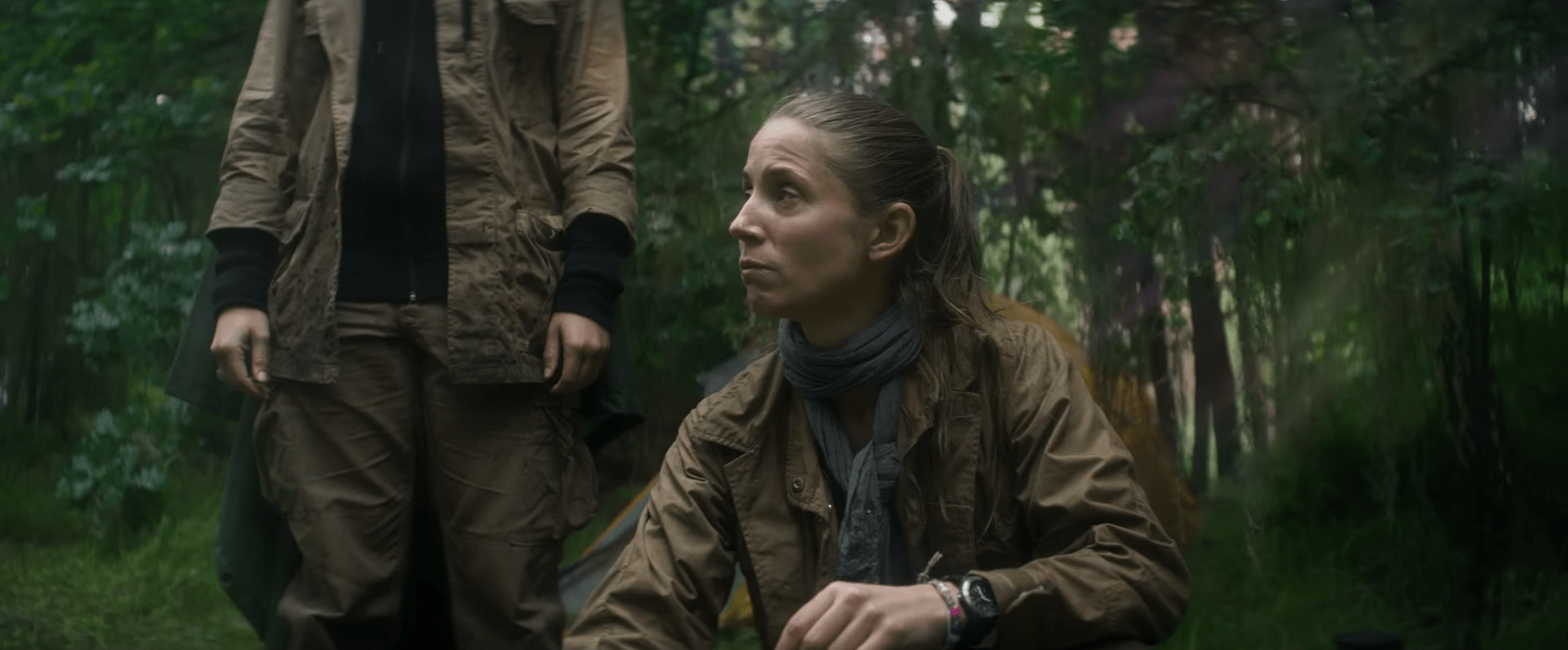 14.2-alligator-who-is-this