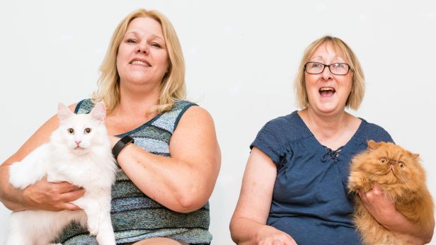 398a57c1d215073ee3583c067e73ffc48241ba77